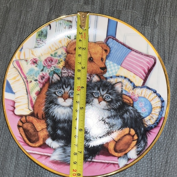 🐈 🐻 🐈‍⬛ • 🐈‍⬛🐻 Cozy Companions 🐻🐈 • Cat vibes - Picture 2 of 8